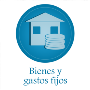 Bienes y gastos fijos